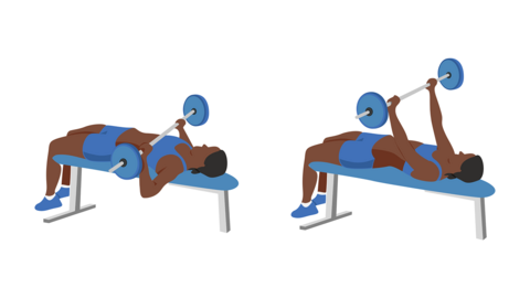 Skizze des Bankdrückens